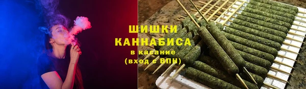 сатива Армянск