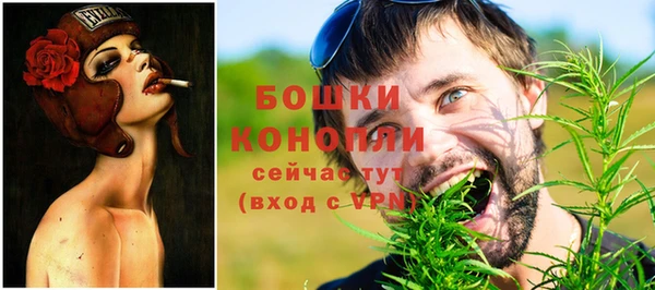 винт Аркадак