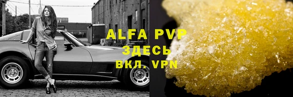 винт Аркадак
