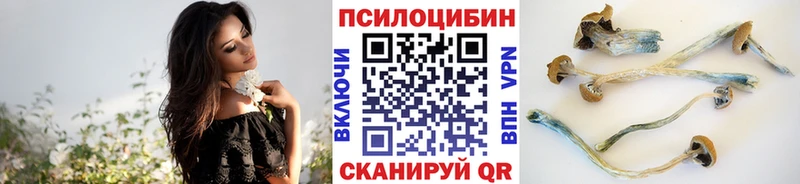 Галлюциногенные грибы Cubensis  где продают наркотики  Долгопрудный 